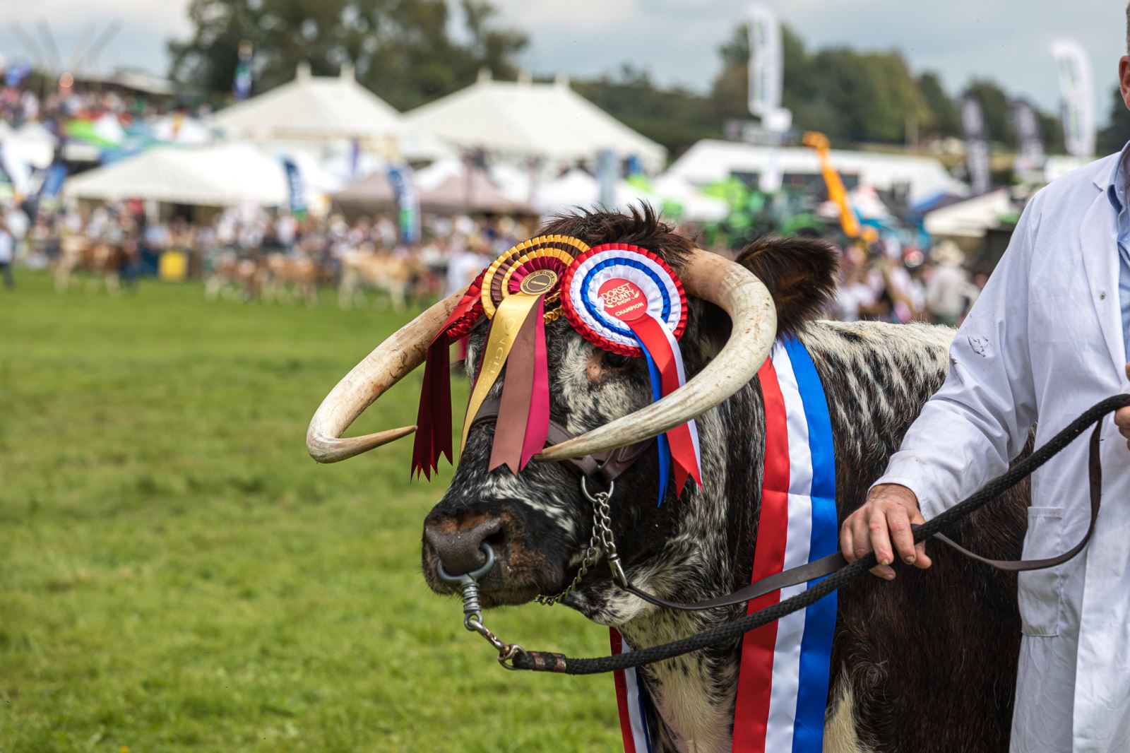 Dorset Show 2026